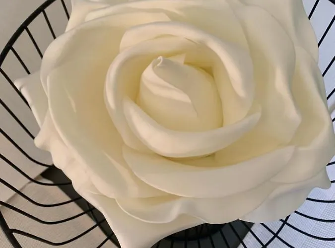 Bel Appartement, Parking Selon Dispo